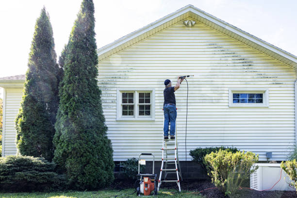 Best Sidewalk and Walkway Cleaning  in Collinsville, MS
